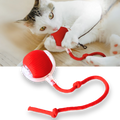 Hendrano™ Self-Rolling Cat Toy Ball with Playful Rope Tail