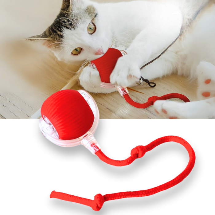 Hendrano™ Self-Rolling Cat Toy Ball with Playful Rope Tail