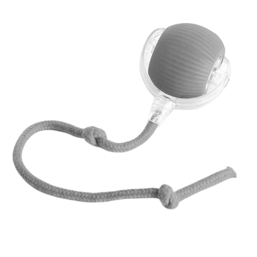 Self-Rolling Cat Toy Ball with Playful Rope Tail