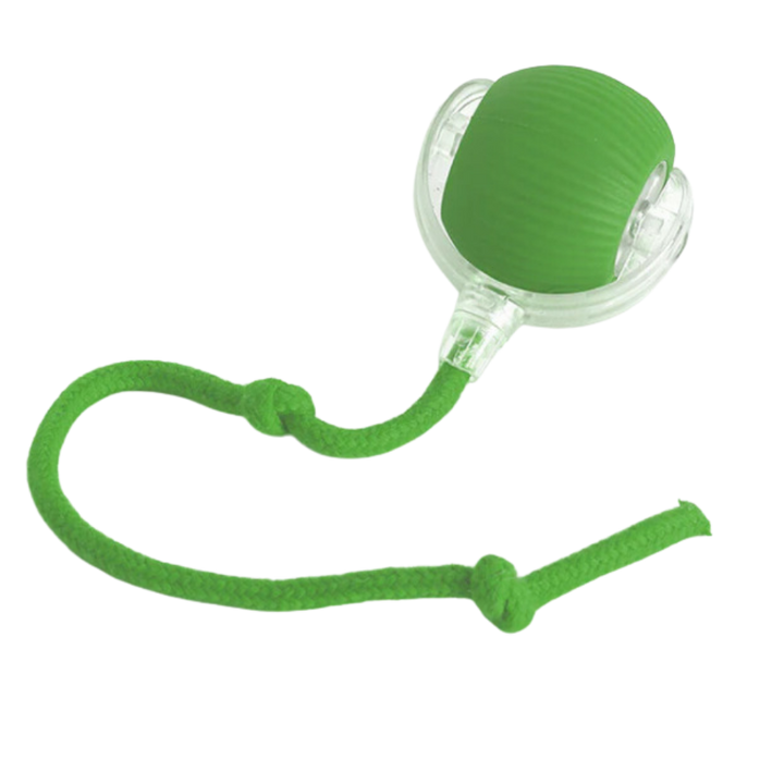 Self-Rolling Cat Toy Ball with Playful Rope Tail