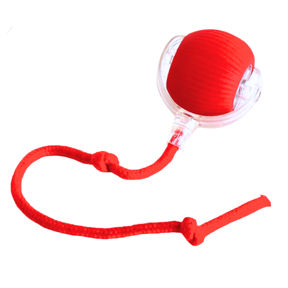Self-Rolling Cat Toy Ball with Playful Rope Tail
