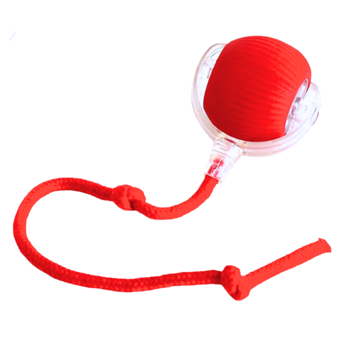 Self-Rolling Cat Toy Ball with Playful Rope Tail
