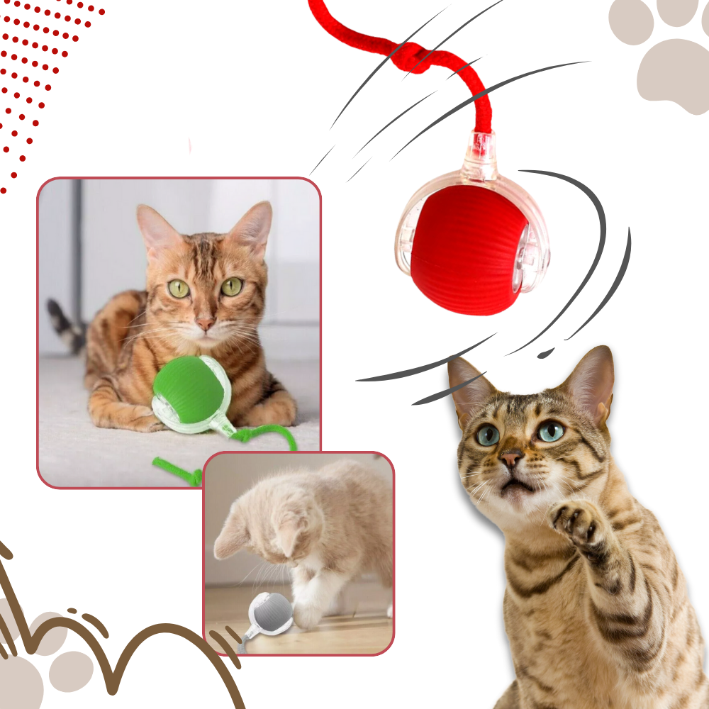 Self-Rolling Cat Toy Ball with Playful Rope Tail