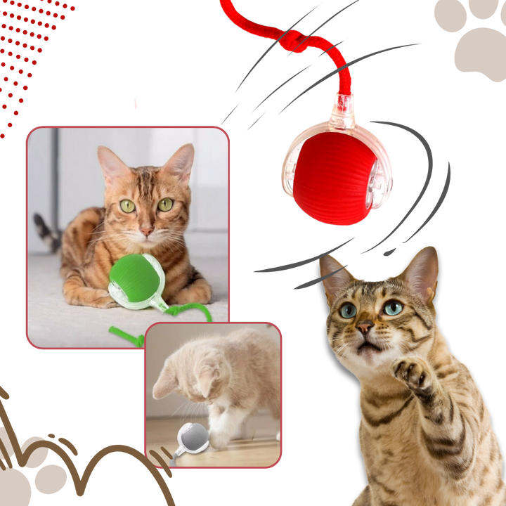 Self-Rolling Cat Toy Ball with Playful Rope Tail