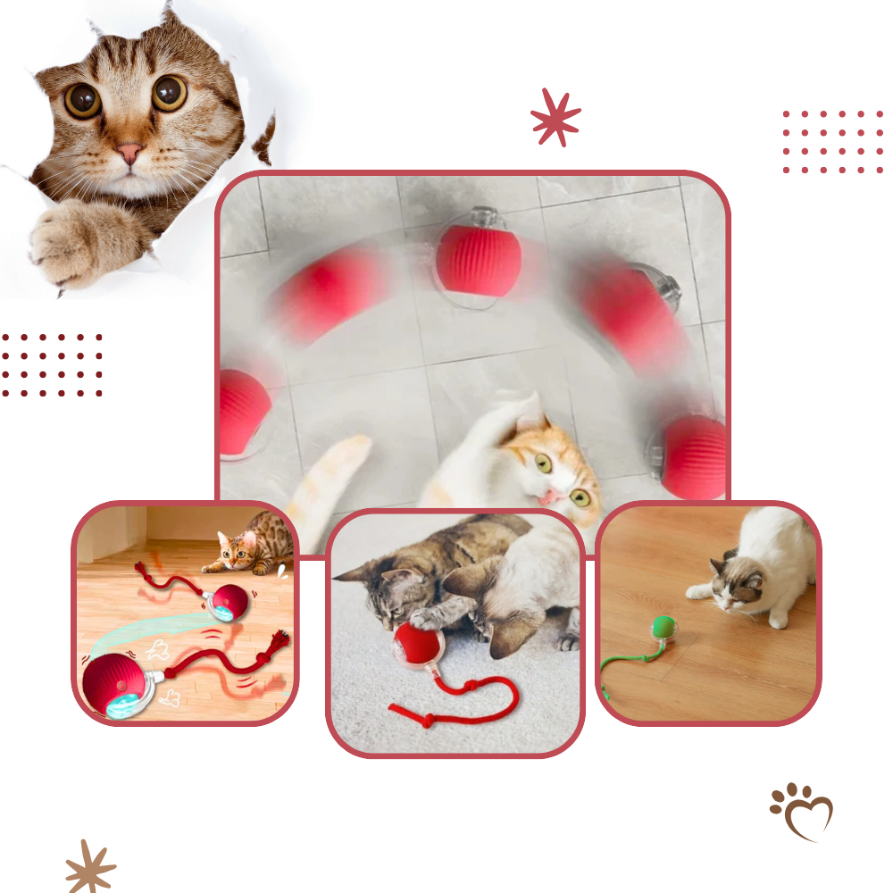 Self-Rolling Cat Toy Ball with Playful Rope Tail