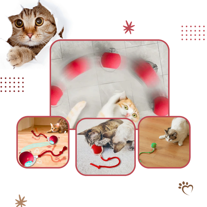 Self-Rolling Cat Toy Ball with Playful Rope Tail