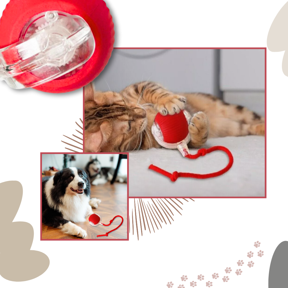 Self-Rolling Cat Toy Ball with Playful Rope Tail
