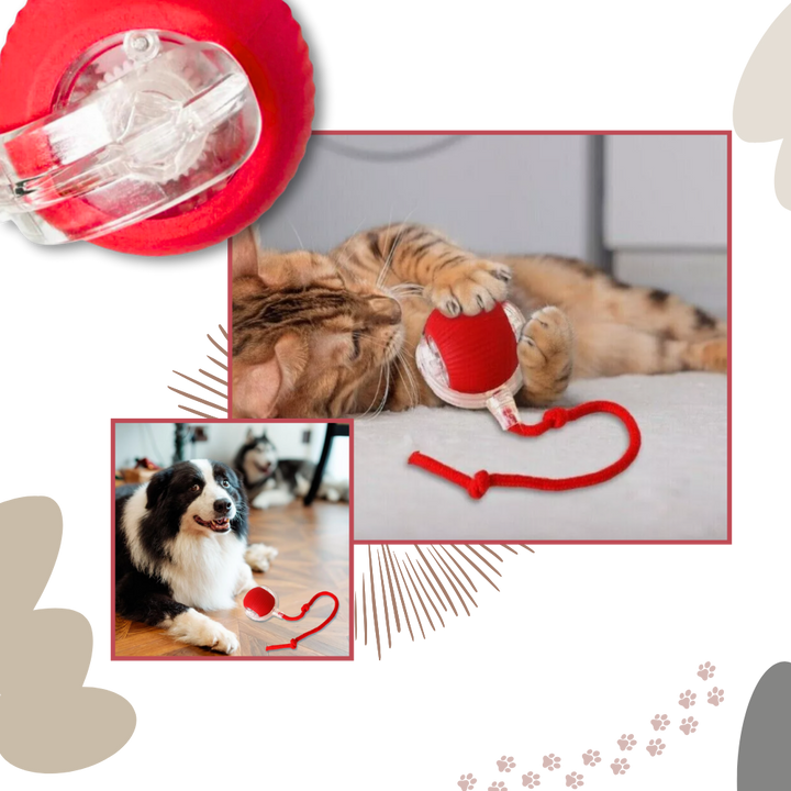 Self-Rolling Cat Toy Ball with Playful Rope Tail