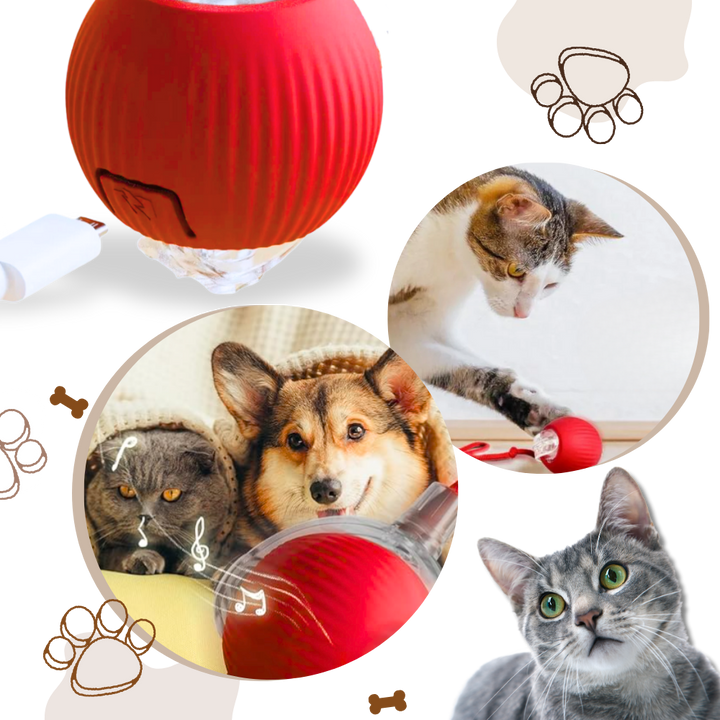 Self-Rolling Cat Toy Ball with Playful Rope Tail