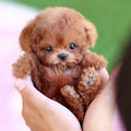 Hendrano™ Interactive Robot Puppy Toy That Walks, Barks and Wags Its Tail