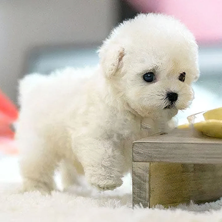 Hendrano™ Interactive Robot Puppy Toy That Walks, Barks and Wags Its Tail