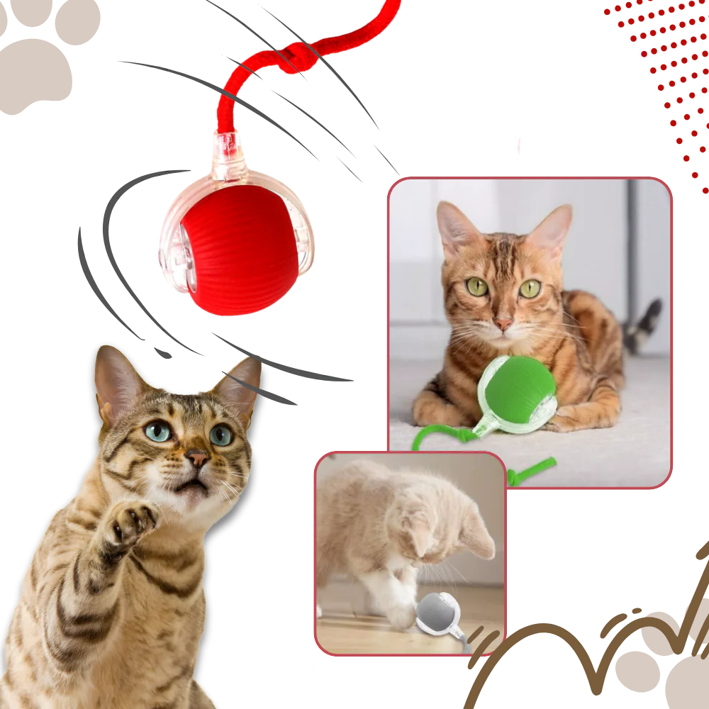 Smart Interactive Cats Ball Toy