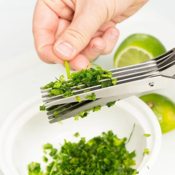 5-Blade Herb Scissors in Stainless Steel with Cleaning Comb