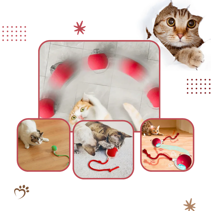 Smart Interactive Cats Ball Toy