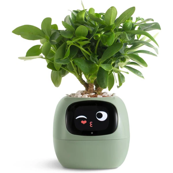 Smart Plant Pot with Self-Watering and Soil Monitoring