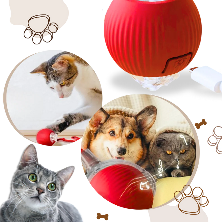 Smart Interactive Cats Ball Toy