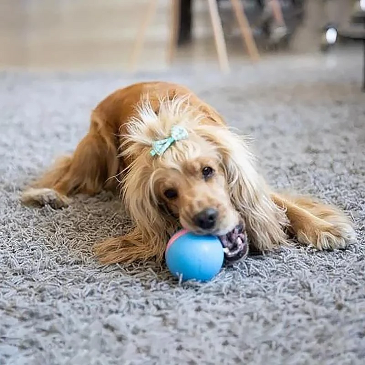 Self-Rolling Smart Ball Toy for Cats and Dogs with 3 Modes