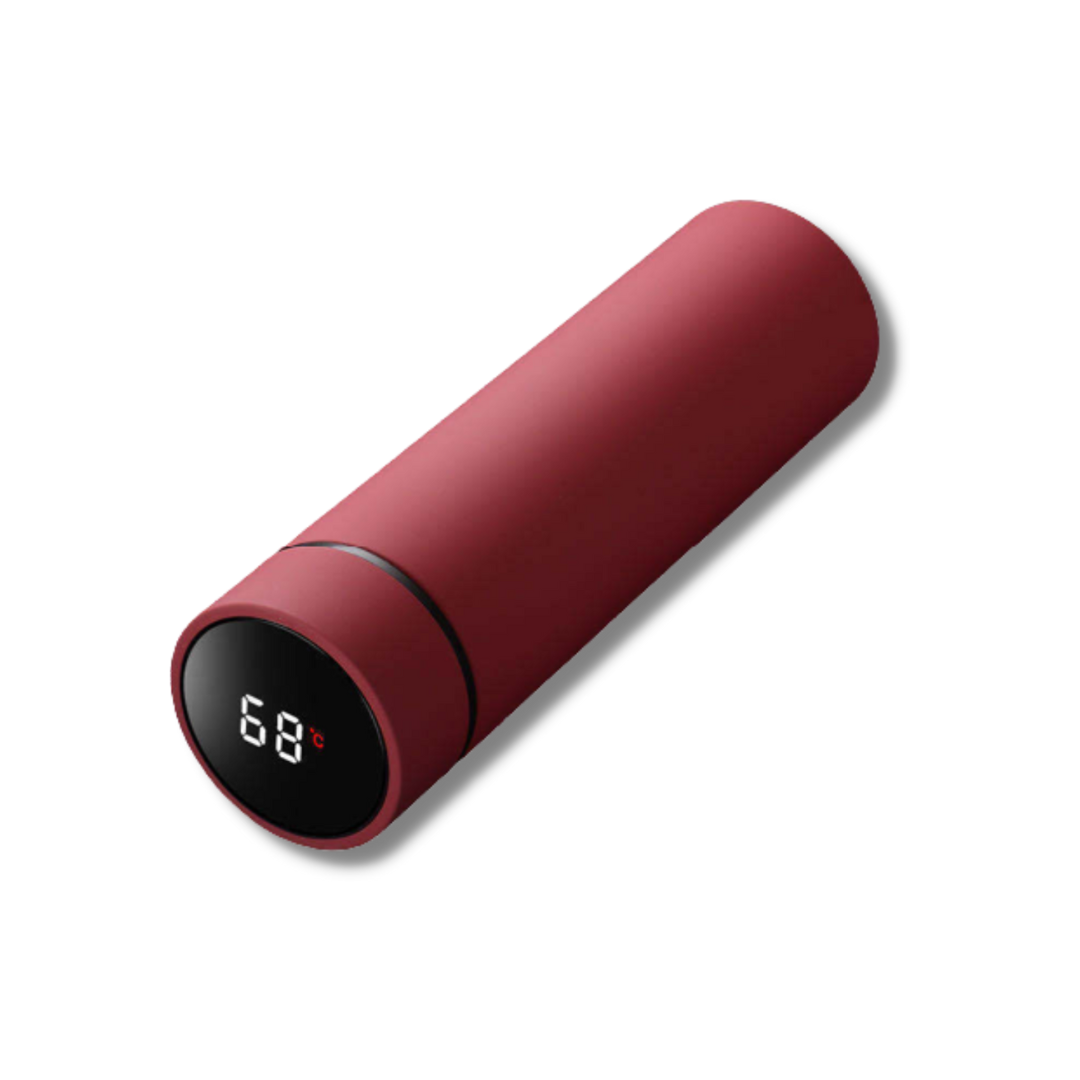 Hendrano™ Stainless Steel Thermos Bottle with LED Temperature Lid