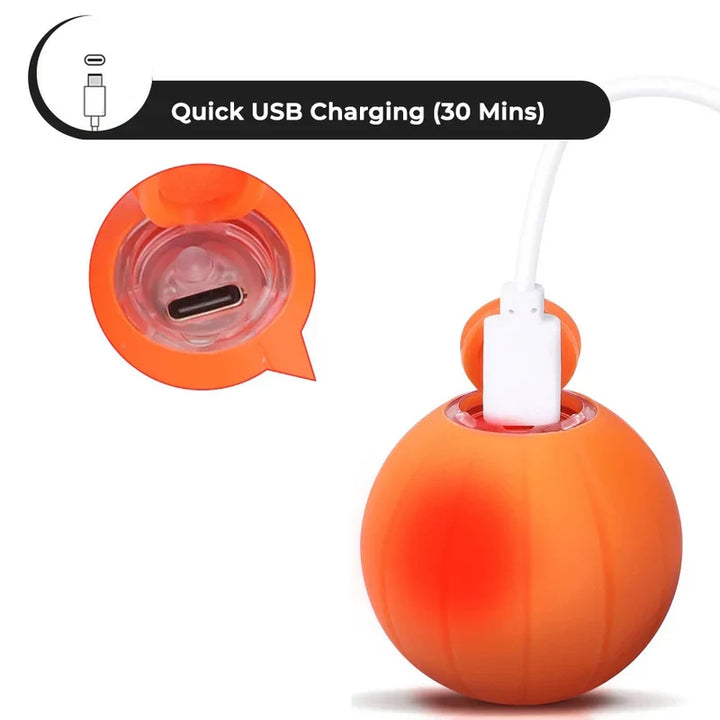 Self-Rolling Smart Cat Ball with 3 Interactive Play Modes